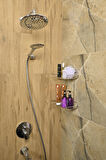 Silver Oval İki Katlı Sabunluk / Şampuanlık /Banyo Aksesuarı/Köşelik/Metal/Paslanmaz