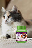 Mix (derma, immunity, multivitamin) Kedi Ödül Tableti