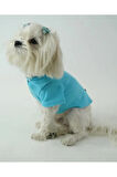 Patilinka Kedi Köpek Yazlık Kıyafet – Mavi Polo Yaka Tişört