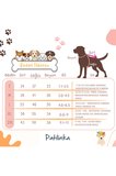 Patilinka Kedi Köpek Kışlık Kıyafet –  Platin Kapüşonlu Yağmurluk