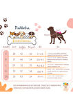 Patilinka Kedi Köpek Yazlık Kıyafet – Kalpli Kırmızı Fırfırlı Poplin Elbise