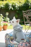 Kedi - Köpek Welsoft Peluş Kışlık Bacaklı Sweat - Pijama - Kıyafet - Mont - Yelek