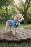 Kedi-Köpek %100 Pamuklu Müslin Yazlık Elbise - Gömlek - Jile - Tişört - Kıyafet