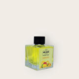 MANGO Bambu Çubuklu Oda Kokusu 100 ML Cam Şişe