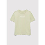 THE YOUTH OF THE WORLD BASKILI ORGANİK P