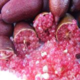 Tüplü Dark Red Havyar Limon Mia Rose Finger Lime Fidanı