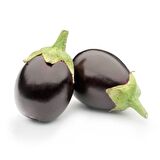 Adana Dolmalık Patlıcan Tohumu (10 gram)