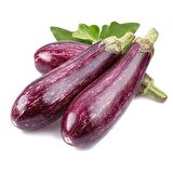 Alacalı Çizgili Patlıcan Tohumu (5 gram)