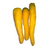 Doğal Solar Yellow Havuç Tohumu (50 tohum)