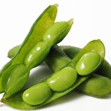 Doğal Soya Fasulye Tohumu(100 Tohum)