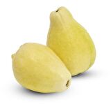 Tüplü Nadir Armut Guava Fidanı (Meyve Verme Yaşında)