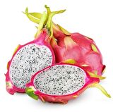 Tüplü Nadir Bulunan İçi Beyaz Pitaya (Ejder Meyvesi) Fidanı