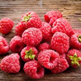 Tüplü Bol Verimli Aromatik Yediveren Ahududu Fidanı