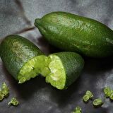 Tüplü Aşılı Özel Ürün Finger Lime Limon Fidanı (10-30 Cm)