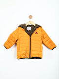 Erkek Çocuk Mont 1-5 Yaş 323500