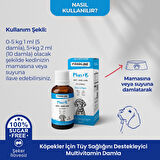 Foodline Köpekler için Plus +B Damla 50 ml | Tüy Sağlığını Destekleyici Biotinli Multivitamin