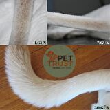 Pet Trust Kedi ve Köpekler için Tüy Dökülmesi Engelleyici Organik Biotin, Kolajen ve Çinko 50ml
