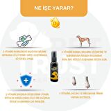 PetTrust Herbal Pet Care Kedi ve Köpekler için Organik Vitamin-D Takviyesi 40ml