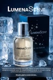 Lumena Scent S401 Erkek Parfüm Woody Edp 50 ml