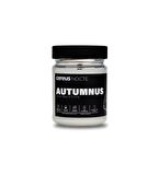 Cereus Nocte Autumnus Lime & Fesleğen Kokulu Soya Mum (210 Gr)