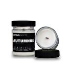 Cereus Nocte Autumnus Lime & Fesleğen Kokulu Soya Mum (210 Gr)
