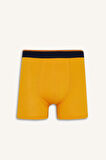 Regular Fit Baskılı 3'lü Boxer