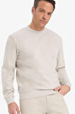 Regular Fit Bisiklet Yaka Sweatshirt