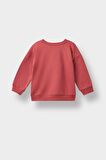 Erkek Bebek Bisiklet Yaka Dinozor Baskılı İçi Yumuşak Tüylü Sweatshirt