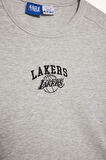 DeFactoFit NBA Los Angeles Lakers Standart Fit Bisiklet Yaka Nakış Baskı Fitilli Kaşkorse Kısa Kollu Tişört E3828AX25SMGR93