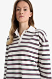 Regular Fit Polo Yaka Çizgili Uzun Kollu Tunik