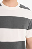 DeFacto %100 Pamuk Regular Fit Bisiklet Yaka Çizgili Kısa Kollu Tişört E5485AX25SMAR216