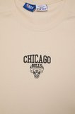 DeFacto NBA Lisanslı Chıcago Bulls Standart Fıt Bisiklet Yaka Nakış Baskı Fitilli Kısa Kollu Kum Beji Tişört E3829AX26SMBG700
