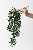 Yapay Sarmaşık Çay Uv Korumalı Koyu Yeşil 75 Cm 5 Dal