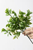 Yapay Limon Yaprağı Demeti Yeşil Krem 30 Cm 7 Dal(Uv)