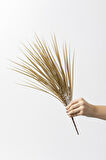 Yapay Saz Demeti Gold 50 Cm 7 Dal(Uv)