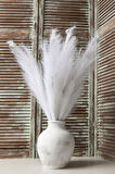Yapay Pampas 100 Cm Tek Dal Beyaz 5'li
