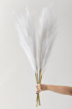 Yapay Pampas 100 Cm Tek Dal Beyaz 5'li
