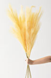 Yapay Pampas 100 Cm Tek Dal Sarı 5'li