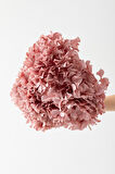 Yapay Vazo Çiçeği Ortanca 75 Cm 5 Dal Pembe