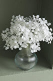 Yapay Cipso Demeti Beyaz 30 Cm 5 Dal