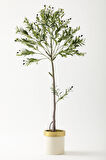 Yapay Zeytin Ağacı 160 Cm Krem Gold Metal Saksı