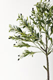 Yapay Zeytin Ağacı 160 Cm Krem Gold Metal Saksı