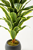Yapay Dracaena Fragrans Ağacı 100 Cm Gri Küre Saksı