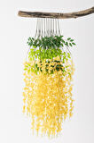 Sarkan Yapay Çiçek Akasya 12'li Sarı