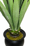 Yapay Aloe Vera Ağacı