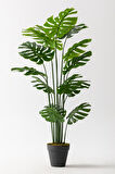 Yapay DeveTabanı(Monstera) Ağacı 180 Cm