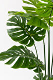 Yapay DeveTabanı(Monstera) Ağacı 180 Cm