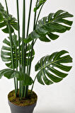 Yapay DeveTabanı(Monstera) Ağacı 180 Cm