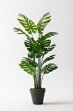 Yapay Deve Tabanı(Monstera) Ağacı 160 Cm