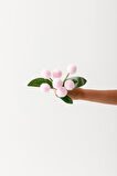 Yapay Ponpon Çiçeği Pembe 35 Cm 7 Dal